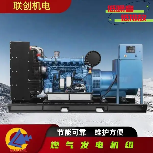 潍柴250千瓦燃气 发电机组 国三排放 WP13D317E300PG