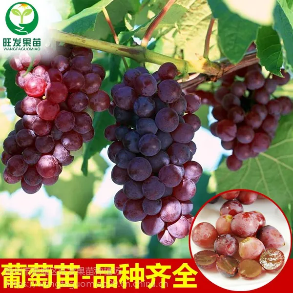 ��Ӧ���ھ޷��������ͺ��޽���������ȫ������ ���ٹ���������Ե�����Ʒ����������