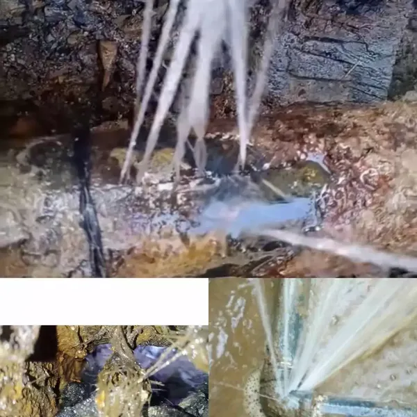 �����ر����򻯷��������������ͳ�����