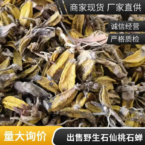 奇弘堂正宗药材石蝉草 无硫中药材胡椒草 原材料火伤叶出售