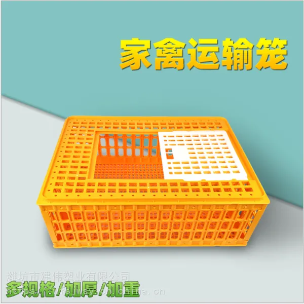 禽用周转箱