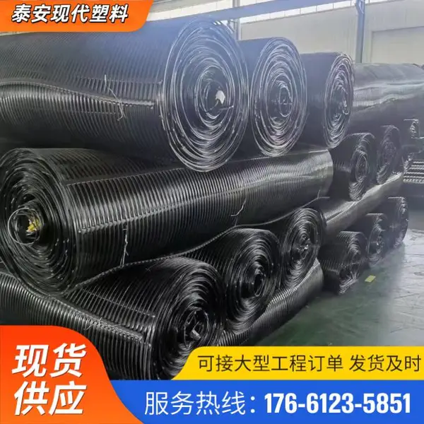 HDPE单向拉伸塑料格栅TGDG130kn 挡土墙护坡 PE连接棒