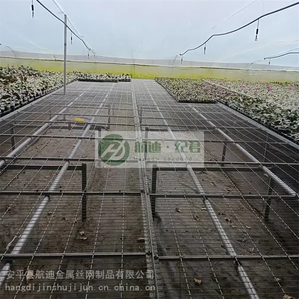 �����紲��-��п�紲��-��������湩Ӧ-�����紲ũҵ