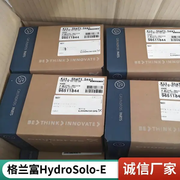 十年厂家 小型家用 气压式变频供水设备 格兰富泵 按需定制