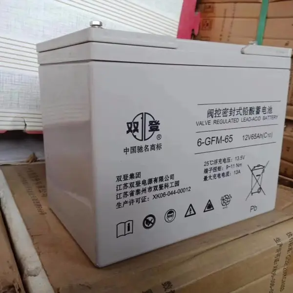 双登蓄电池6-GFM-65 12V65AH代理商