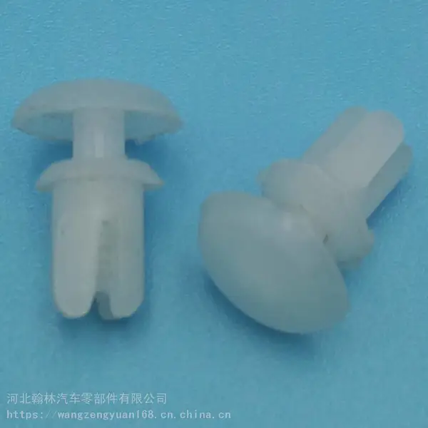 ������Ӧ�����ľ߿���ĸ�� ����ĸ�۸������Ͽ���