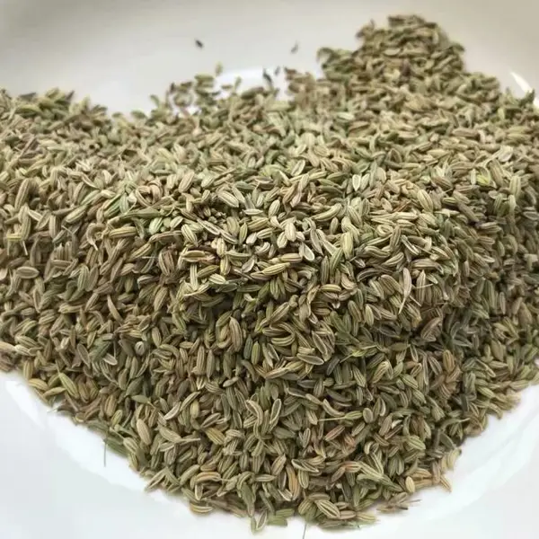 广西玉林中药材市场小茴香批发