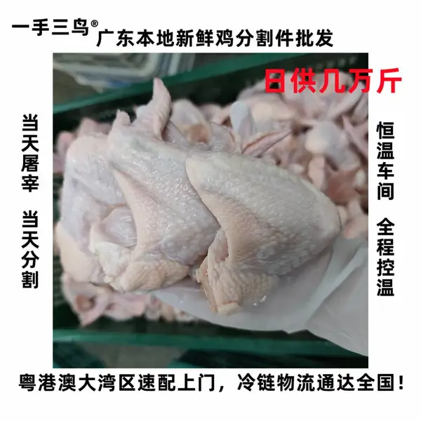 一手三鸟新鲜鸡翅鸡全翅鸡腿鸡中翅鸡翅根鸡翅尖鸡胸肉鸡骨架批发
