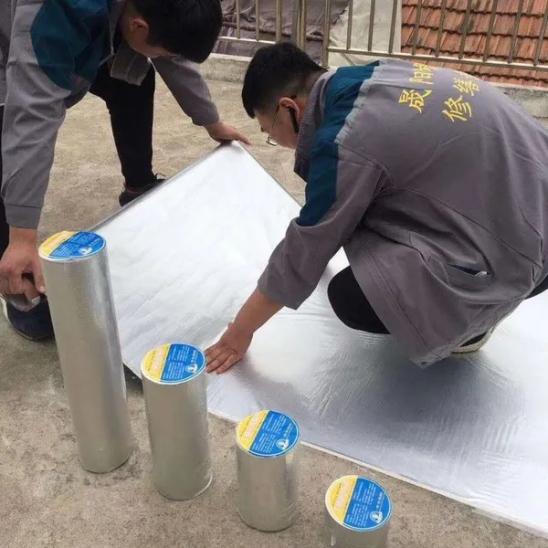 �ʸ����ݶ���ˮ���콵�� ��������ʹ������15��