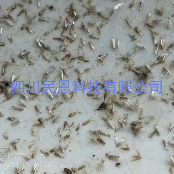 �Ĵ������ݡ����ϡ����졢���������������ϵظ���Ǳҹ�����ռ�