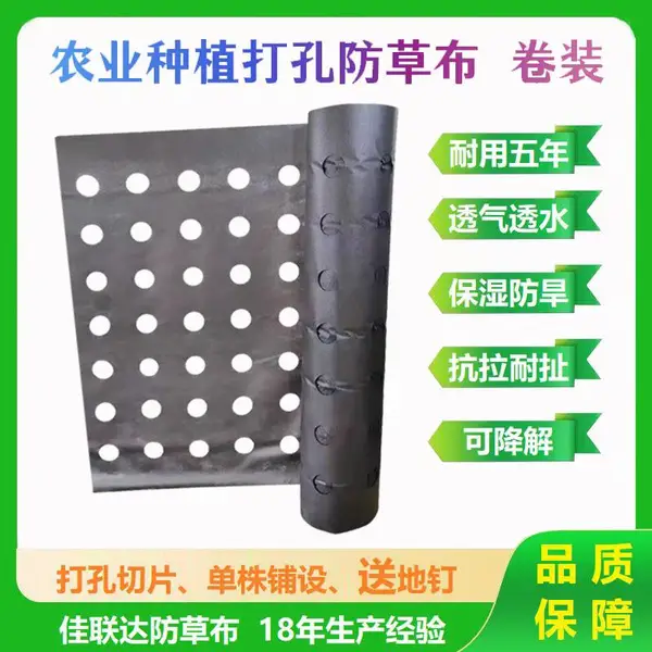 打孔防草布卷装100米 中药材花卉开孔防草地膜 农用菜地除草地布蔬果打孔防草布