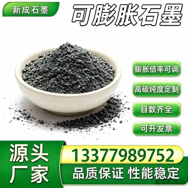 100目可膨胀石墨 密封填料专用膨化石墨粉体