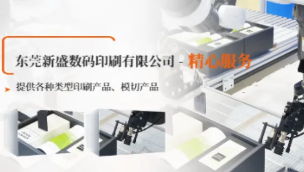 东莞精装版画册印刷咨询报价 东莞市新盛数码印刷供应