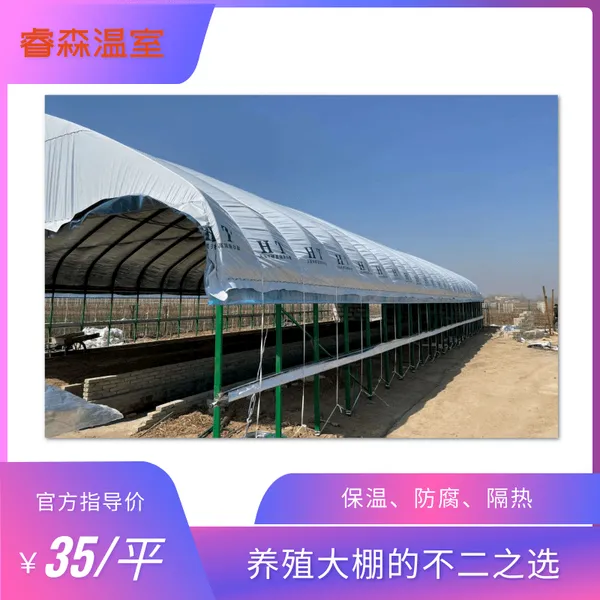 养羊大棚 温室养殖 保温大棚 蛋鸡养殖