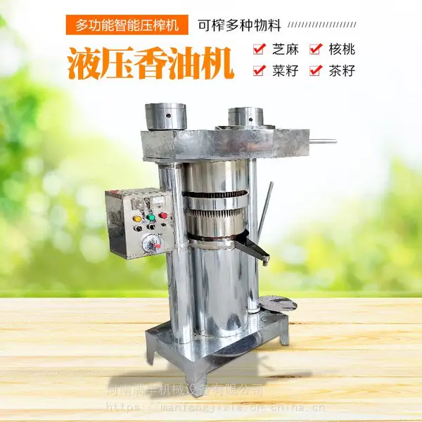 小型立式核桃茶籽榨油机不锈钢新型商用韩版液压全自动芝麻香油机