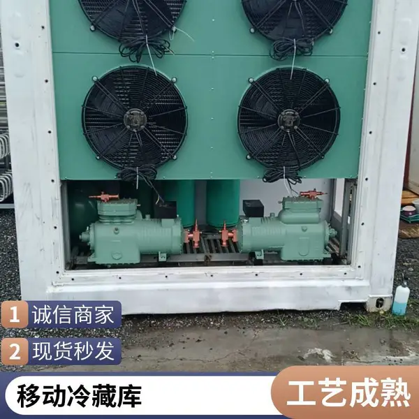 规格齐全 集装箱保鲜库 大小型蔬菜保鲜库 移动速冻库 可定制