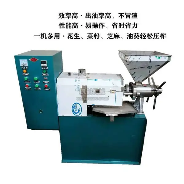 小型家用榨油机 商用螺旋式榨油机 不锈钢全自动榨油机凯创机械