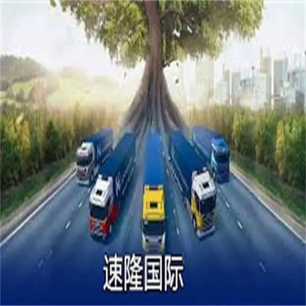 中国-亚马逊敏感品专线含税派送到门