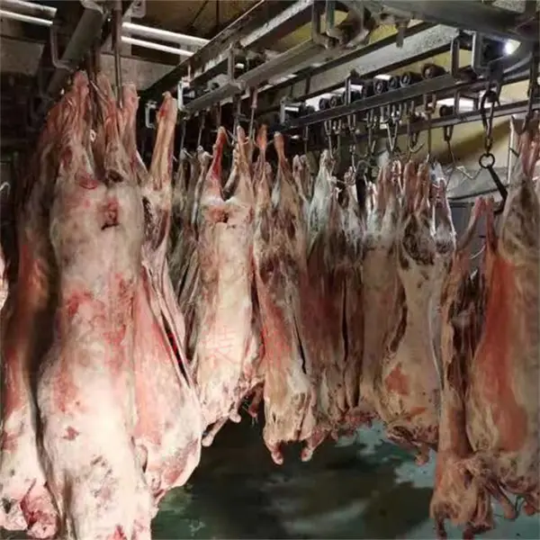 进口牛羊肉低温高湿解冻机 冻肉缓化库 羊胴体解冻设备