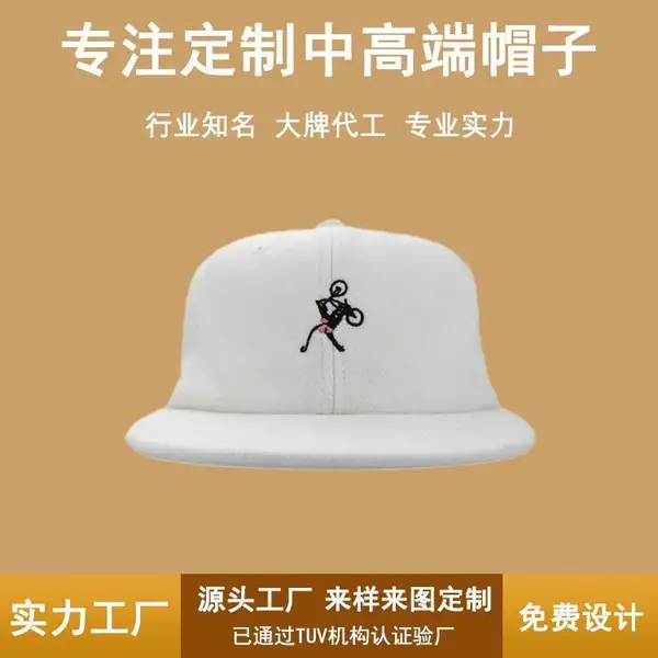 ACE***logo刺绣平沿帽韩版春秋冬毛呢面料帽子批发