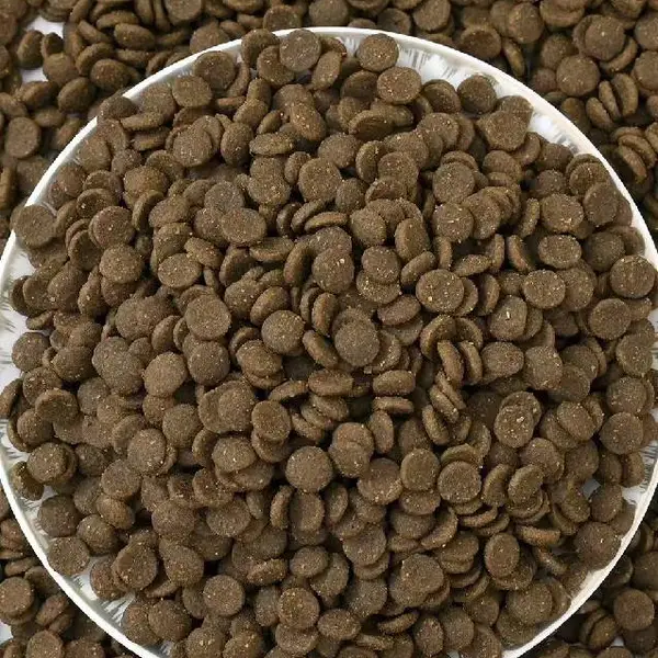 è������ȫ��è��cat,food