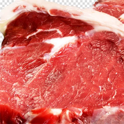 巴西牛肉进口清关流程 上海冷冻肉报关代理公司
