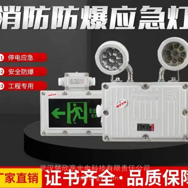 防爆应急灯YHB6401 防爆应急照明灯BAJ52 40W AC220V 壁挂式 白光