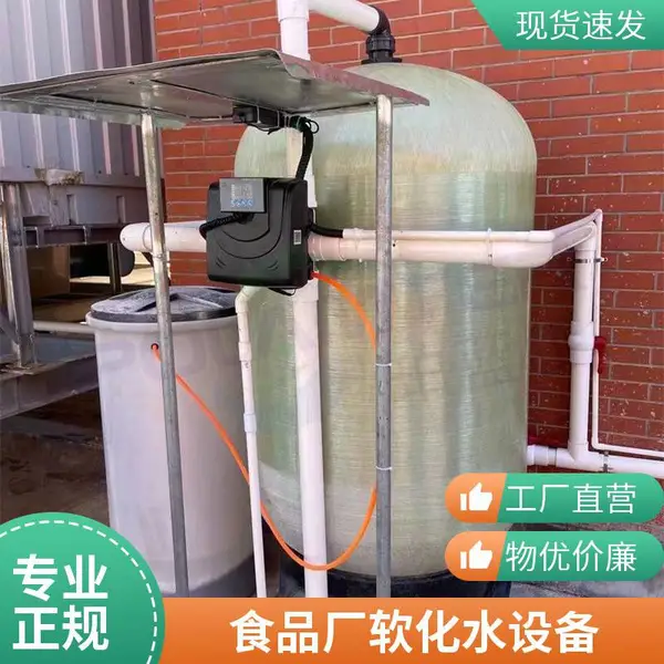 食品厂工艺软水机 珀蓝特15m?/h工业用水软化处理设备