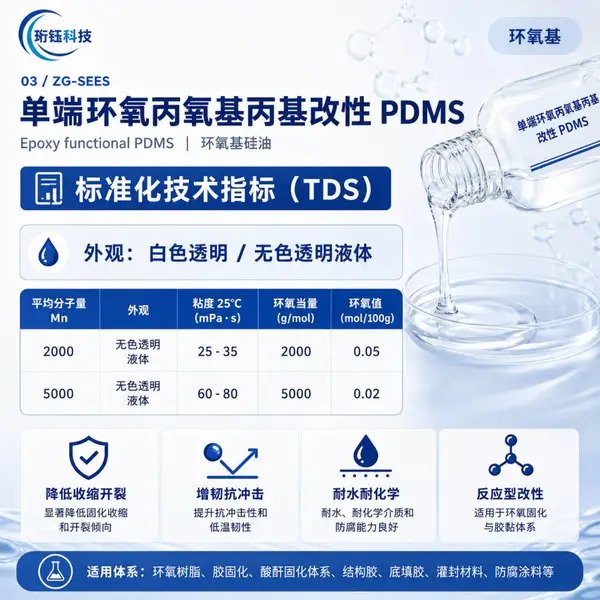 ���˻�������˾۶��׻�������PDMS�����������Ե������Ÿ��Թ���