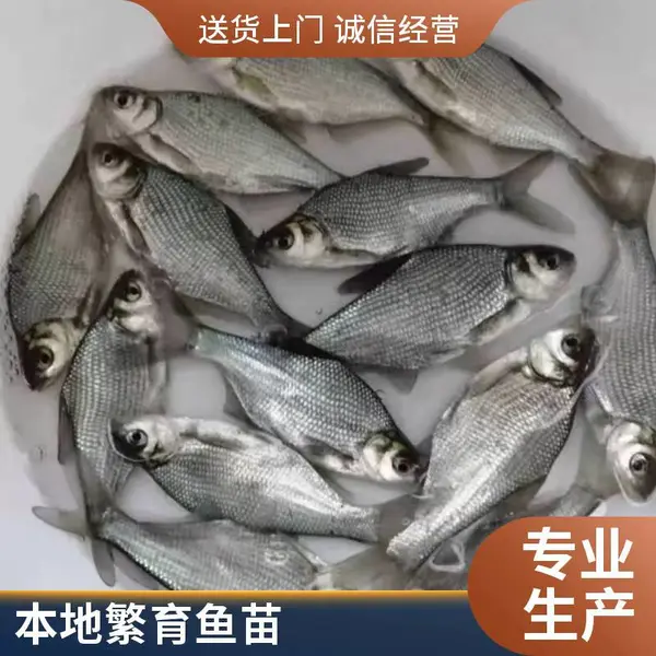 ���� �ƹ������������ 3-5�����޷�����