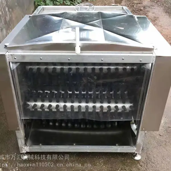 ����е�����ë�� ������ë��
