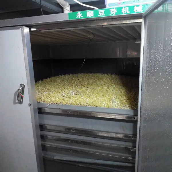 永顺利YSL-2000A斗式机型豆芽机机械设备