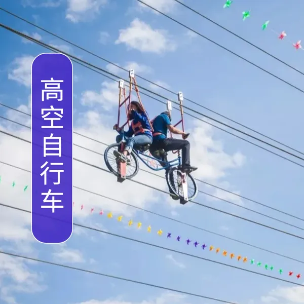 大型户外景区拓展项目高空自行车 单双人空中脚踏车游乐设备
