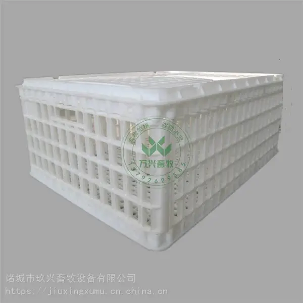 大鸡周转箱 商品鸡***笼 PP塑料周转箱