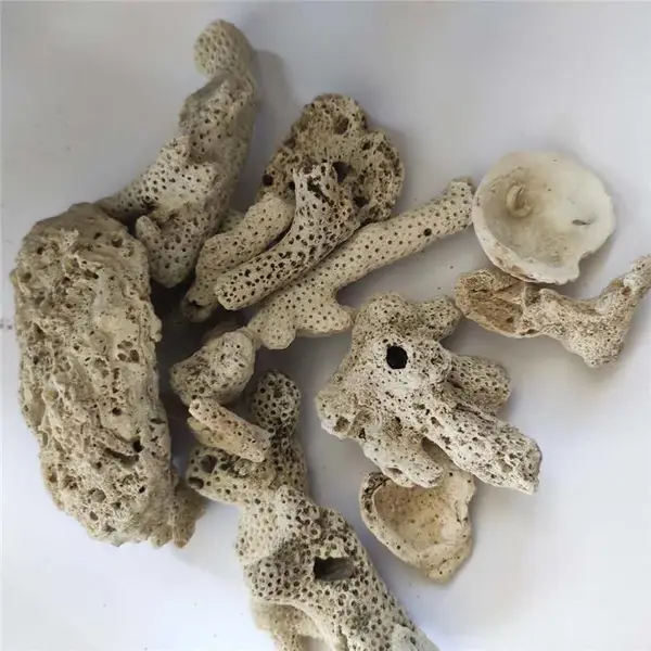 �ӱ�����������׹�����ɺ���� ɱ������ ����ˮ����ɺ����