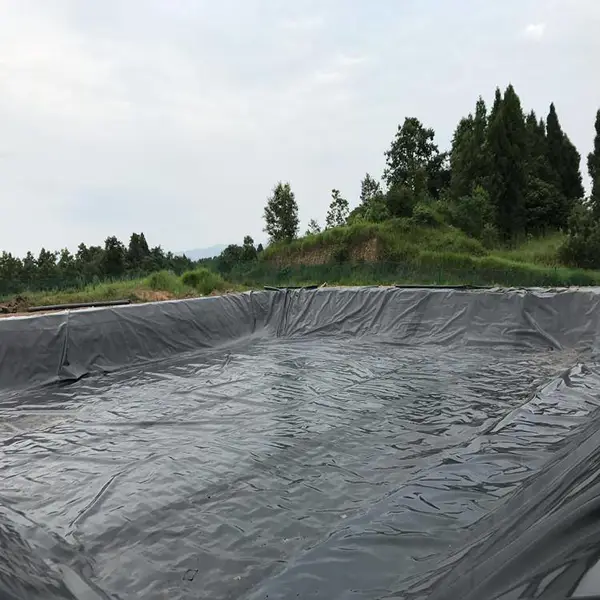 HDPE LDPE EVA ECB �������� ��ֳ�� �������񳡷���Ĥ ����Ĥ ³�ɳ���
