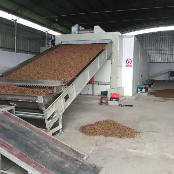 华景智农专业花卉饮品类烘干生产线 可定制的花卉饮品类烘干设备 成本低 效果高 操作简单 自动化烘干