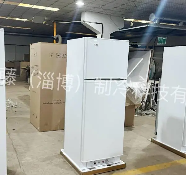 200升 300升家用燃气冰箱 液化气冰箱 双开门冷藏冷冻冰箱