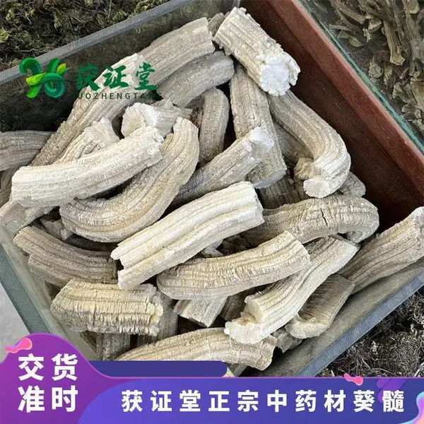 ��֤��������ҩ�Ŀ��� ������ҩ�����տ�ȿ ԭ���Ͽ����������