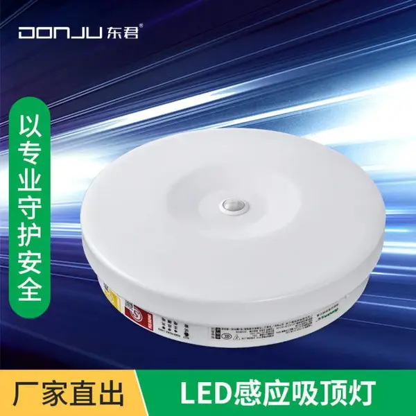 东君照明 led吸顶灯过道走廊人体感应声光控楼道应急灯应急照明灯