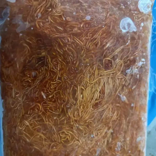 美味极鲜海参卵