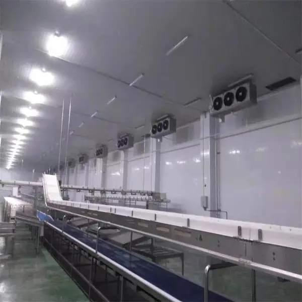冷库定制尺寸 冷库上面测量设计 冷库建造工程队