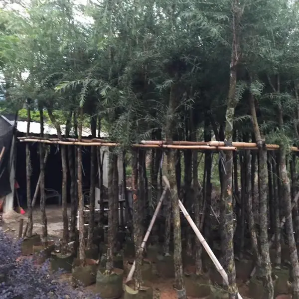 ��ǧ�������� ��ǧ����ع�Ӧ�� ��ǧ��۸����