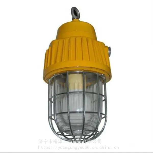DGS70/127B(F)矿用隔爆型泛光灯 LED防爆灯 矿用投光灯
