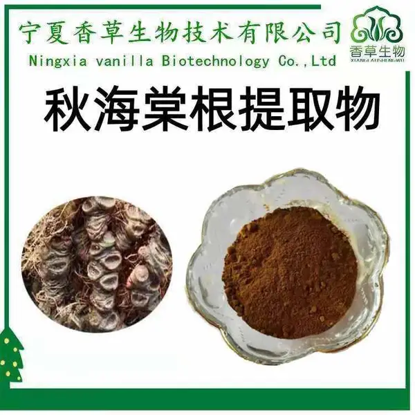 秋海棠根提取物 10: 1 原粉 100目 浸膏 秋海棠根浓缩液