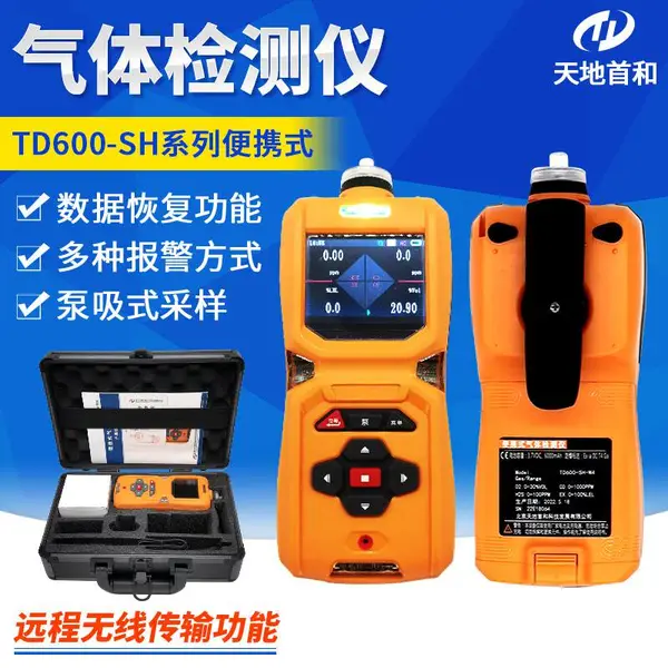 泵吸式二甲醚侦测仪TD600-SH-C2H6O气体检测仪化工生产行业领域