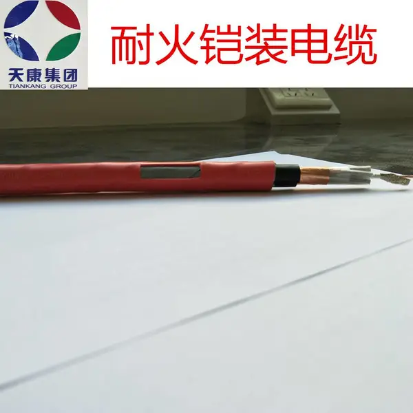 NH-KVV22 火灾报警系统控制线 天康耐火电缆控制电缆
