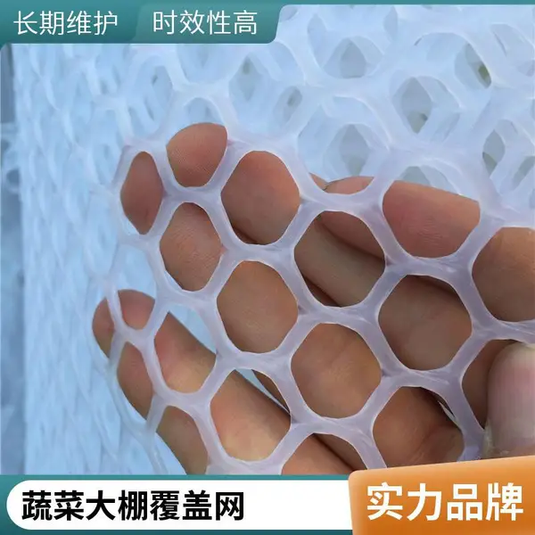 灌浆塑料平网 隧道防水板保护平纹网 高强度PP材质 按需加工
