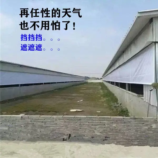 猪舍牛场鸡舍卷帘定做批发 养殖场卷帘布价格