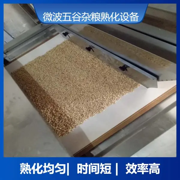 20HMV五谷杂粮干燥熟化机 隧道式大豆烘烤设备一机多用 节能高效